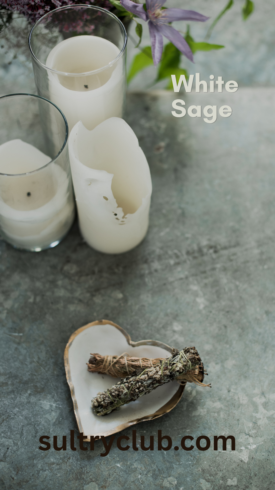 White Sage Smudge Sticks