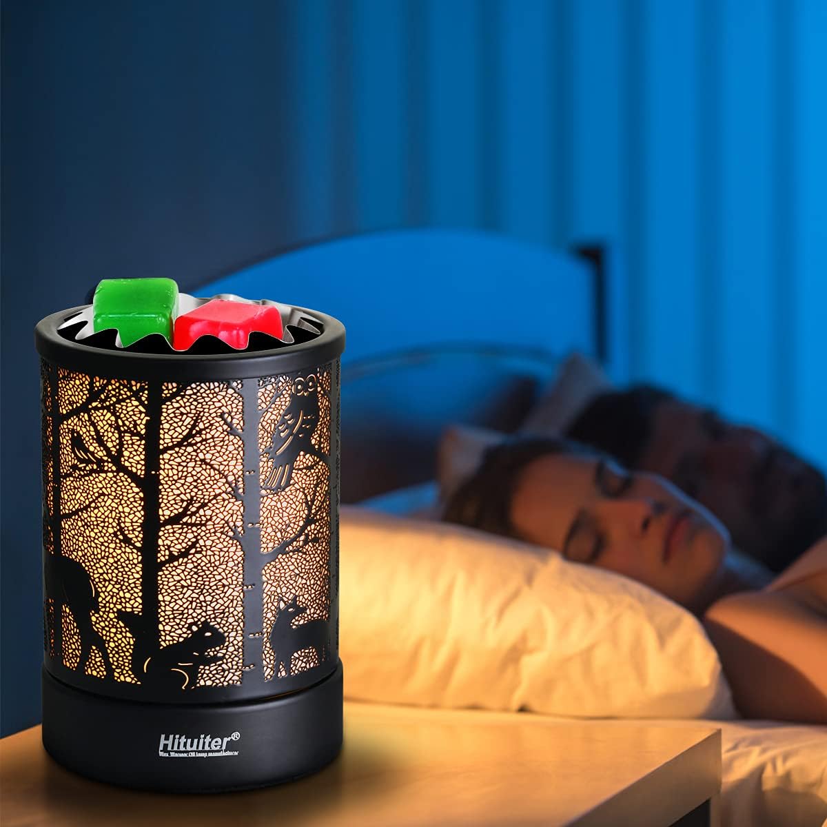 Hituiter Electric Wax Melt Warmer Fragrance Warmer for Scented Wax Melts Classic t Design Home Accessories (Forest animals)
