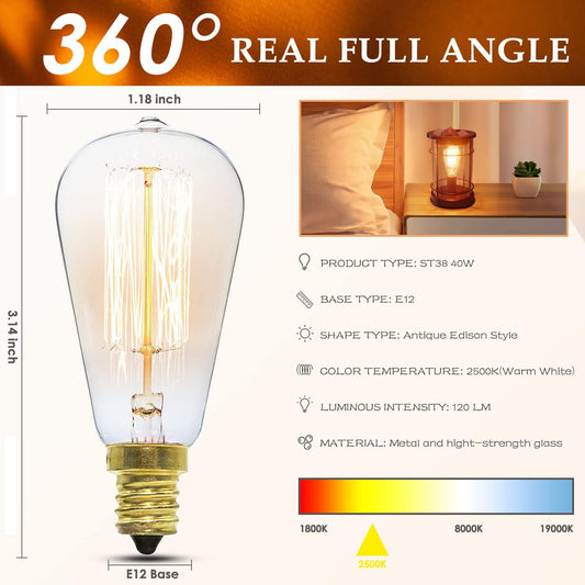 SALKING Electric Wax Melt Warmer with Timer, Wax Warmer for Scented Wax Melts, Vintage Light Bulbs Fragrance Candle Warmer for Rustic Home Décor, Office, Birthday Gifts