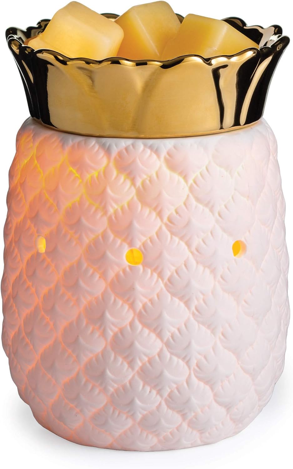 CANDLE WARMERS ETC. Illumination Fragrance Warmer- Light-Up Warmer for Warming Scented Candle Wax Melts and Tarts or Fragrance Oils to Freshen Room, Gothic Skull
