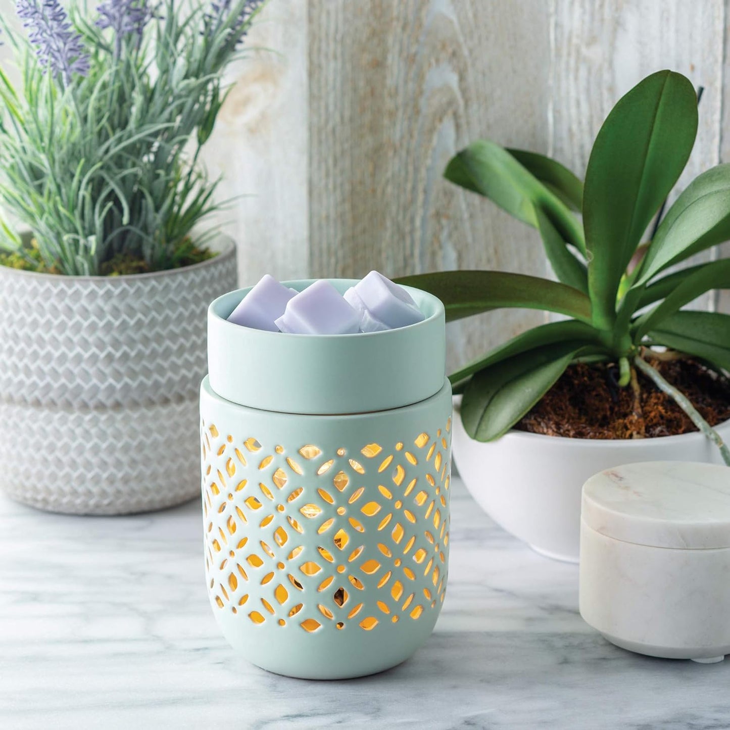 CANDLE WARMERS ETC. Illumination Fragrance Warmer- Light-Up Warmer for Warming Scented Candle Wax Melts and Tarts or Fragrance Oils to Freshen Room, Gothic Skull