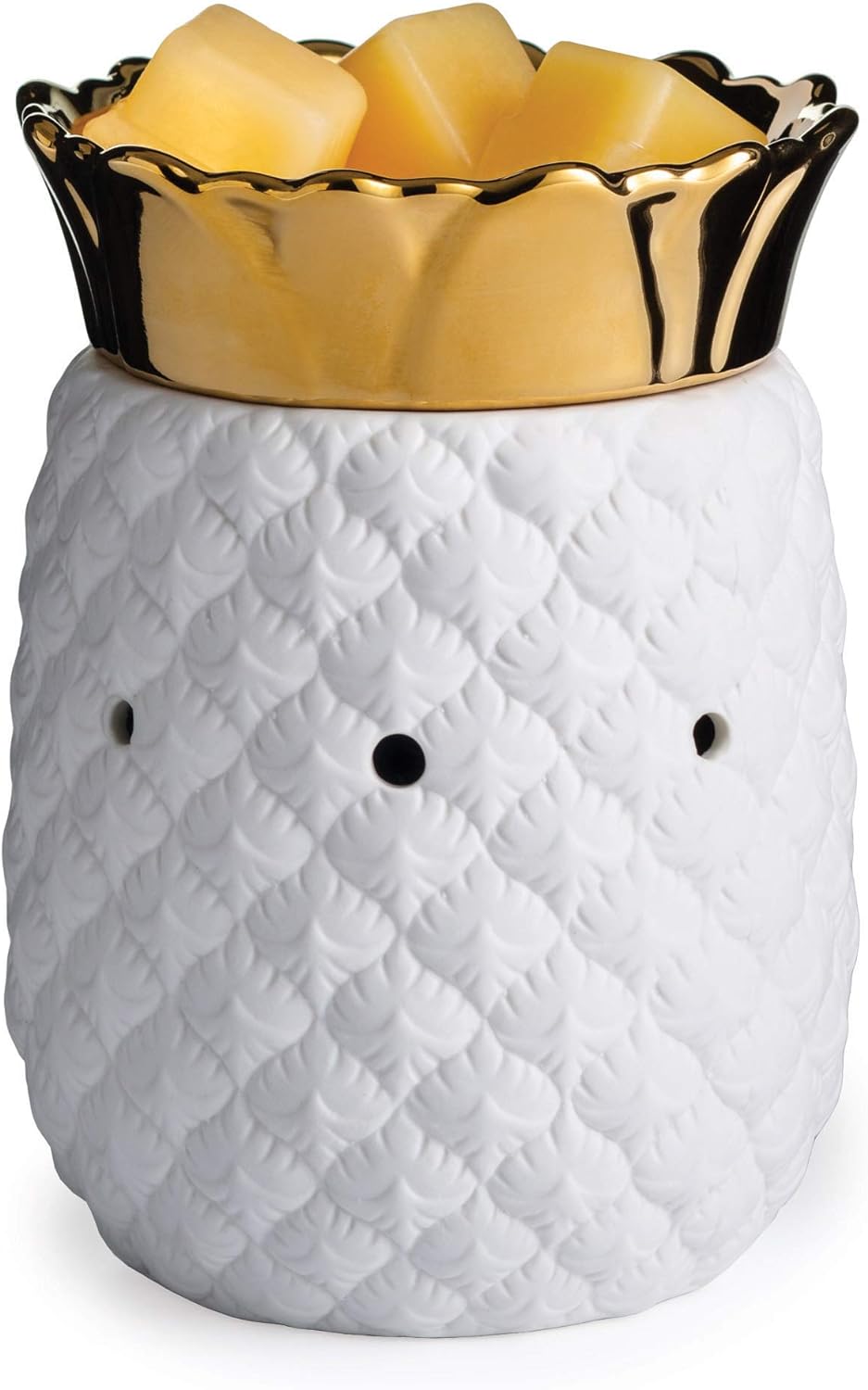 CANDLE WARMERS ETC. Illumination Fragrance Warmer- Light-Up Warmer for Warming Scented Candle Wax Melts and Tarts or Fragrance Oils to Freshen Room, Gothic Skull