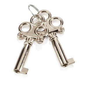 Handcuffs In Chrome