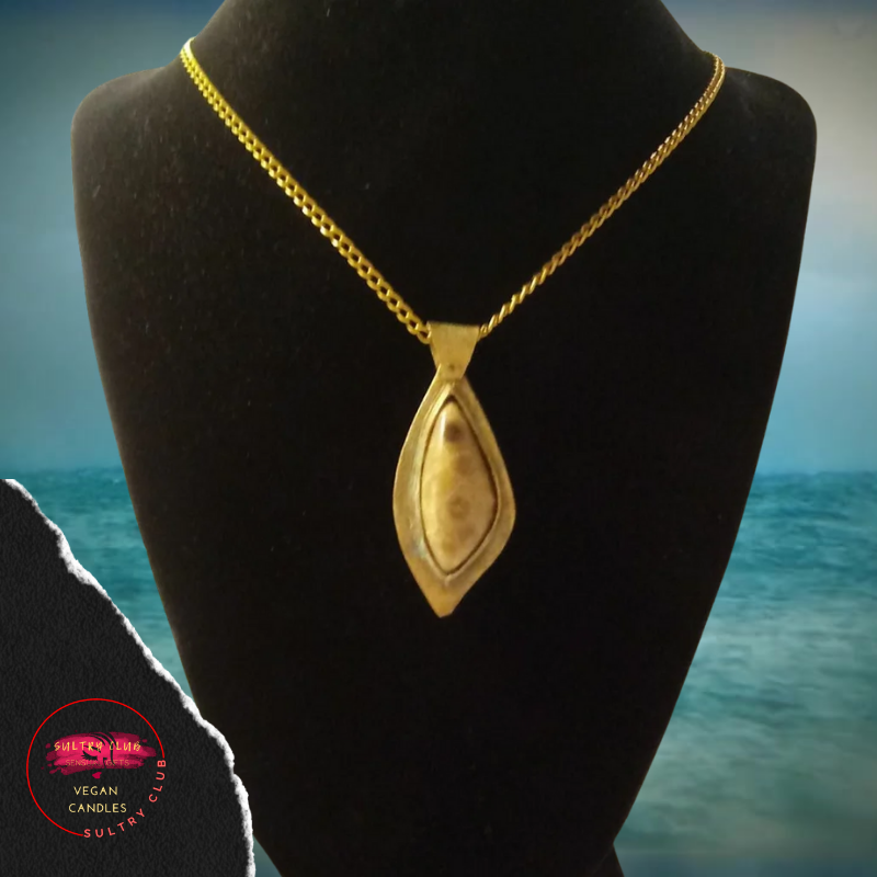 Natural Michigan Petoskey Stone Necklace