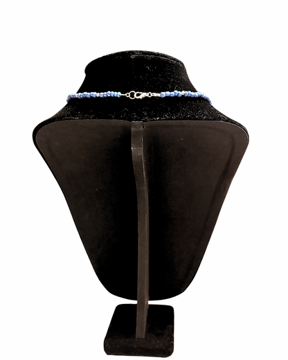 Detroit Lions Football Collectible Necklace