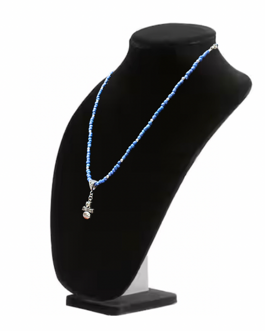 Detroit Lions Football Collectible Necklace