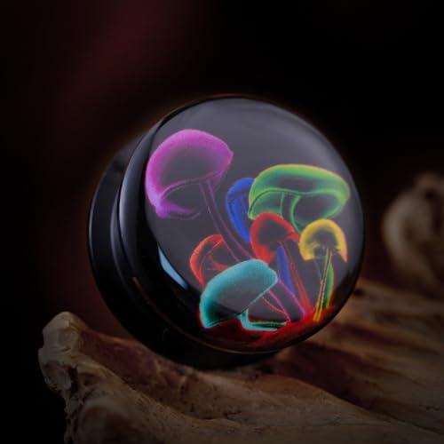 2PCS Acrylic Solid Screw On Ear gauges Art Oil Painting The Scream Epoxy Allergy Free Ear Plugs and Tunnels Stretcher For Women Men Body Piercing Jewelry