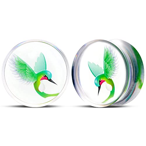 2 PCS Resin Acrylic Transparent Screw Tunnels Ear Expander Stretcher Piercing Ear Gauges