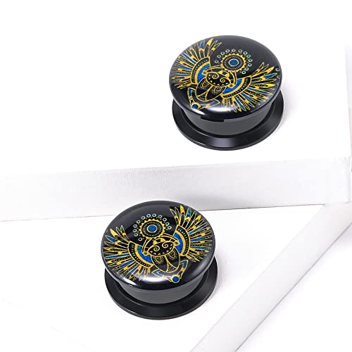 1 Pair Acrylic Solid Screw On Ear Plugs Tunnels Allergy Free 2g- 1 Inch Stretcher Steampunk Graffiti Pattern Color Painting For Women For Men Body Piercing Jewelry