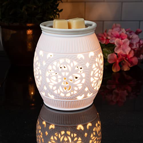 ScentSationals Wax Warmer Boho Collection, Scented Wax Cube Melter, Oil Diffuser Electric Fragrance and Oil Burner, Wickless Candle Air Freshener, Indoor Home Decor, House Decoration Year Round (Succulent Bowl)