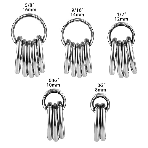 2PCS Ear Tunnels Plugs Gauges with 10PCS Nose Rings 316 Stainless Steel Hypoallergenic Earrings Expanders for Stretched Piercing Body Jewelry