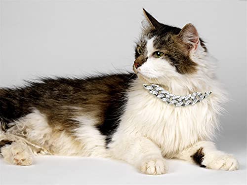 Halukakah Cat Collar - Carat - Iced Out Diamond Cuban Link Gold Chain for Cats & Kittens - Platinum Plated 7" Collar Size - for Decoration Only - Get Your Cat Catwalk Ready