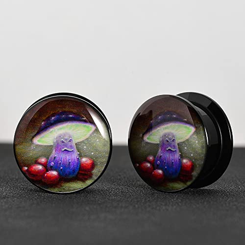 2 PCS Resin Acrylic Unique Heart Ear Tunnels and Plugs Body Piercing Jewelryfor Women Men Gift