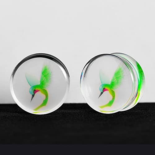 2 PCS Resin Acrylic Transparent Screw Tunnels Ear Expander Stretcher Piercing Ear Gauges