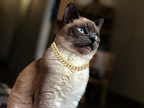 Halukakah Cat Collar - Carat - Iced Out Diamond Cuban Link Gold Chain for Cats & Kittens - Platinum Plated 7" Collar Size - for Decoration Only - Get Your Cat Catwalk Ready