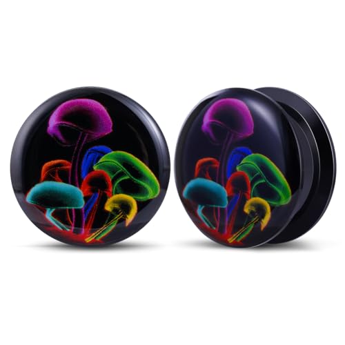 2PCS Acrylic Solid Screw On Ear gauges Art Oil Painting The Scream Epoxy Allergy Free Ear Plugs and Tunnels Stretcher For Women Men Body Piercing Jewelry
