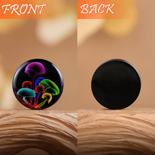 2PCS Acrylic Solid Screw On Ear gauges Art Oil Painting The Scream Epoxy Allergy Free Ear Plugs and Tunnels Stretcher For Women Men Body Piercing Jewelry