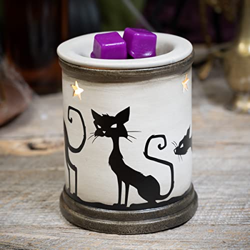 Scentsationals Halloween Collection - Scented Wax Warmer - Spooky Season Wax Cube Melter & Burner - Electric Autumn Fragrance Home Air Freshener Gift (Apothecary)