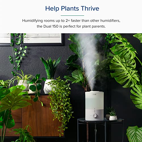 LEVOIT Humidifiers for Bedroom, Quiet (3L Water Tank) Cool Mist Top Fill Essential Oil Diffuser with 25Watt for Home Large Room, 360° Nozzle, Rapid Ultrasonic Humidification for Baby Nursery and Plant