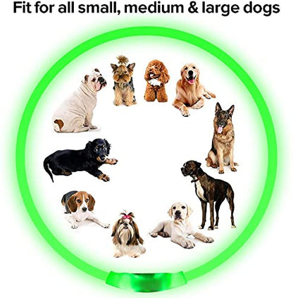 BSeen LED Pet Collar, USB Rechargeable, Glowing for Night Safety, Fashion Light up Collar for Small Medium Large Dogs (Pink)