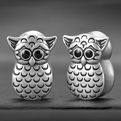 2PCS Owl Saddle Ear Gauges Tunnels Opening Ear Plugs Expander Earrings Stretcher Fashion Body Piercing Jewelry 0g-1"(8mm-25mm)