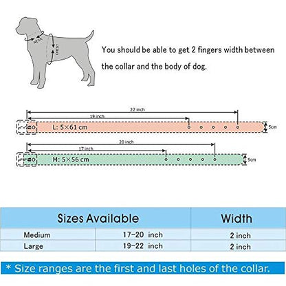 Rhinestones Dog Collars Flower Pattern Rhinestone Studded Leather Sparkly Crystal Diamonds Dazzling Elegant Fancy PU Leather Dog Collar for Medium & Large Dogs (M:17-20 inch, Purple)