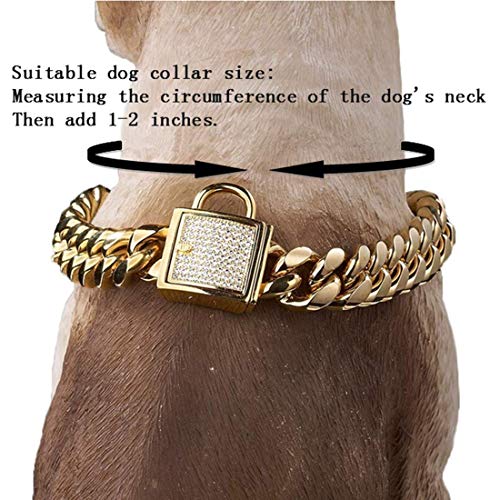 Gold Dog Chain Collar 10mm Wide Cuban Link Puppy Collar 316L Stainless Steel with CZ Diamond Lock Bling Collar for Large Medium Small Dogs(10mm Gold,10inches)