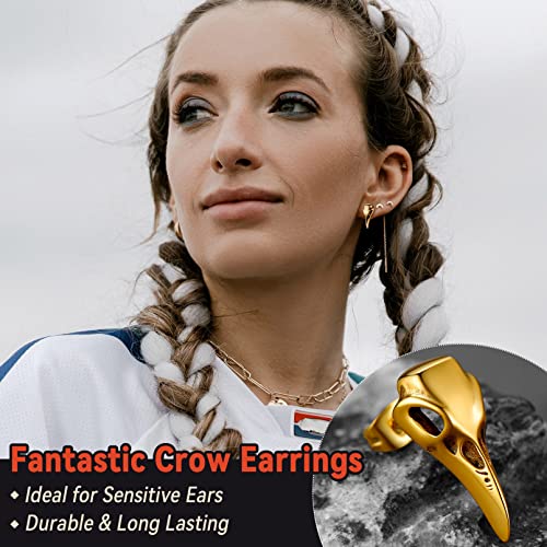 FaithHeart Raven Stud Earrings for Women Men, Stainless Steel Punk Gothic Norse Viking Crow Ear Studs with Delicate Gift Packaging