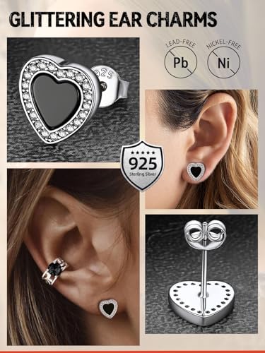 FaithHeart Sterling Silver Viking Runes Earrings for Men Women Black Onyx Stud Earrings Norse Mythology Amulet Jewelry with Gift Box