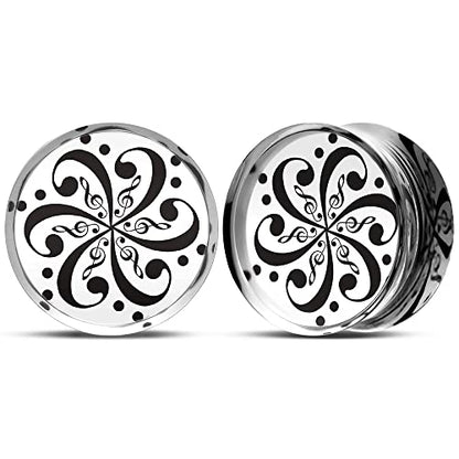 2 PCS Ear Gauges Resin Acrylic Transparent Stretching Tunnels Expanders Body Piercing Jewelry