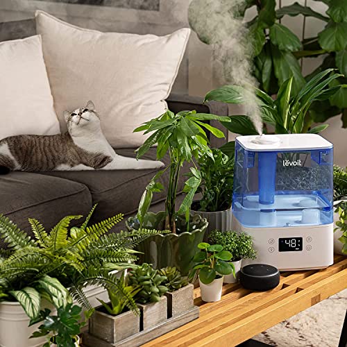 LEVOIT Humidifiers for Bedroom Large Room Home, (6L) Cool Mist Top Fill Essential Oil Diffuser for Baby & Plants, Smart App & Voice Control, Rapid Humidification & Auto Mode - Quiet Sleep Mode, Gray