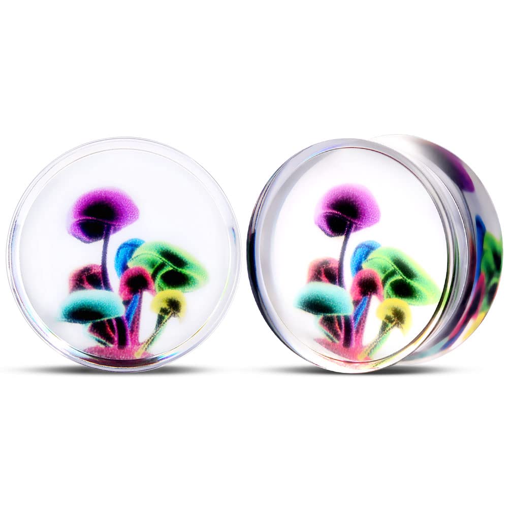 2 PCS Resin Acrylic Transparent Screw Tunnels Ear Expander Stretcher Piercing Ear Gauges