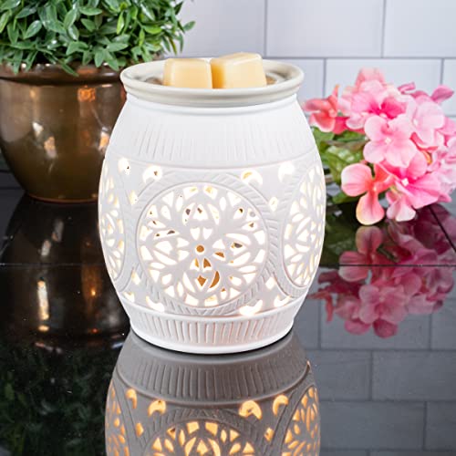 ScentSationals Wax Warmer Boho Collection, Scented Wax Cube Melter, Oil Diffuser Electric Fragrance and Oil Burner, Wickless Candle Air Freshener, Indoor Home Decor, House Decoration Year Round (Succulent Bowl)