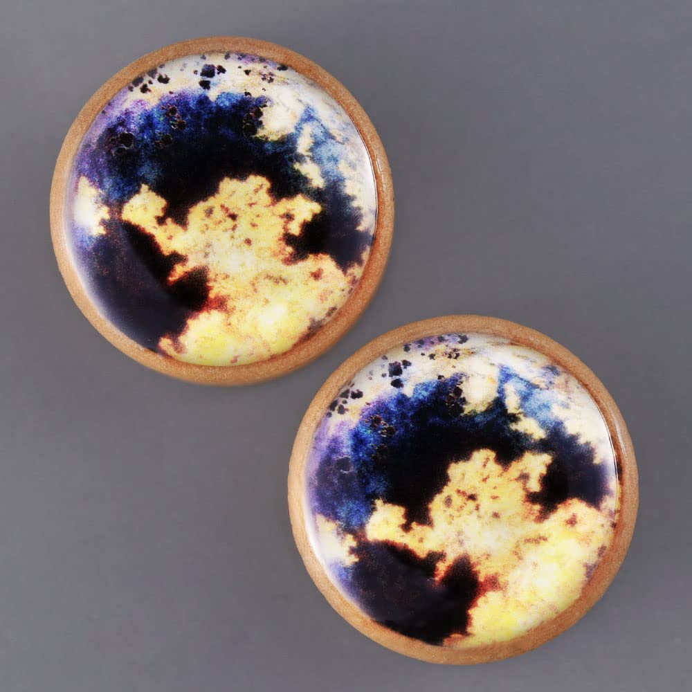 2 PCS Ear Gauges Resin Wood Stretching Ear Tunnels Plugs Expanders Body Piercing Jewelry