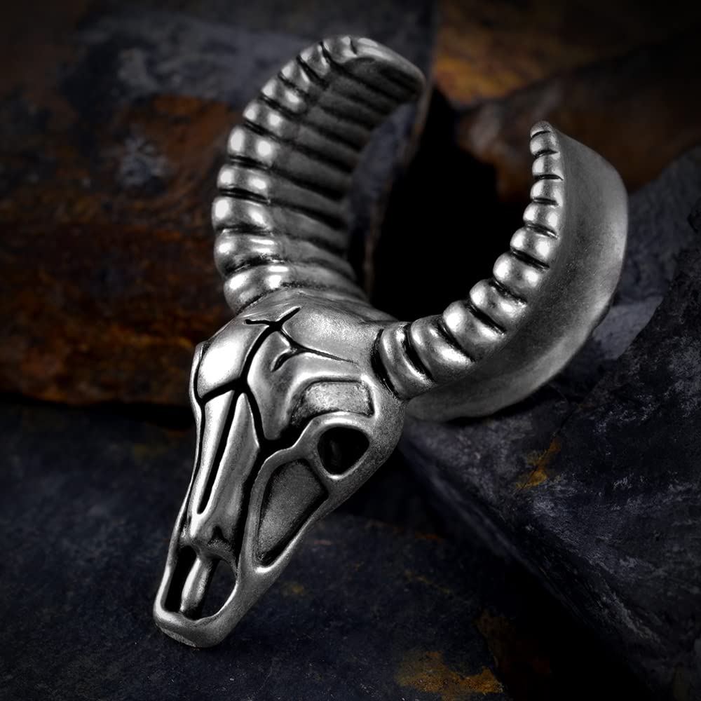 2PCS Punk Skull Ear Tunnels Brass Vintage Double Flared Plugs Cool Gothic Goat Head Ear Gauges Stretcher Piercings Gauge 0g to 1 inch