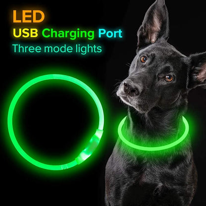 BSeen LED Pet Collar, USB Rechargeable, Glowing for Night Safety, Fashion Light up Collar for Small Medium Large Dogs (Pink)