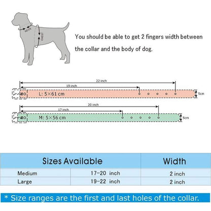 Rhinestones Dog Collars Flower Pattern Rhinestone Studded Leather Sparkly Crystal Diamonds Dazzling Elegant Fancy PU Leather Dog Collar for Medium & Large Dogs (M:17-20 inch, Purple)