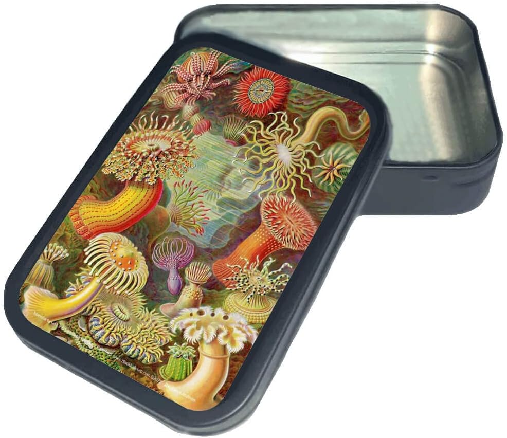 Stash Tins - Mushrooms Storage Container 4.37" L x 3.5" W x 1" H