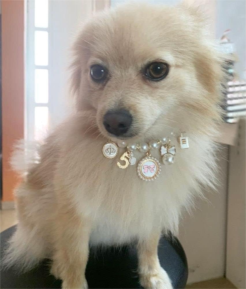 Dog Pearl Collars Princess Bow Necklace Pet Pearl Necklace DogCute Collar Puppy Accessories Cat Jewelry Pearl Neck Strap for Dog Cat (M)