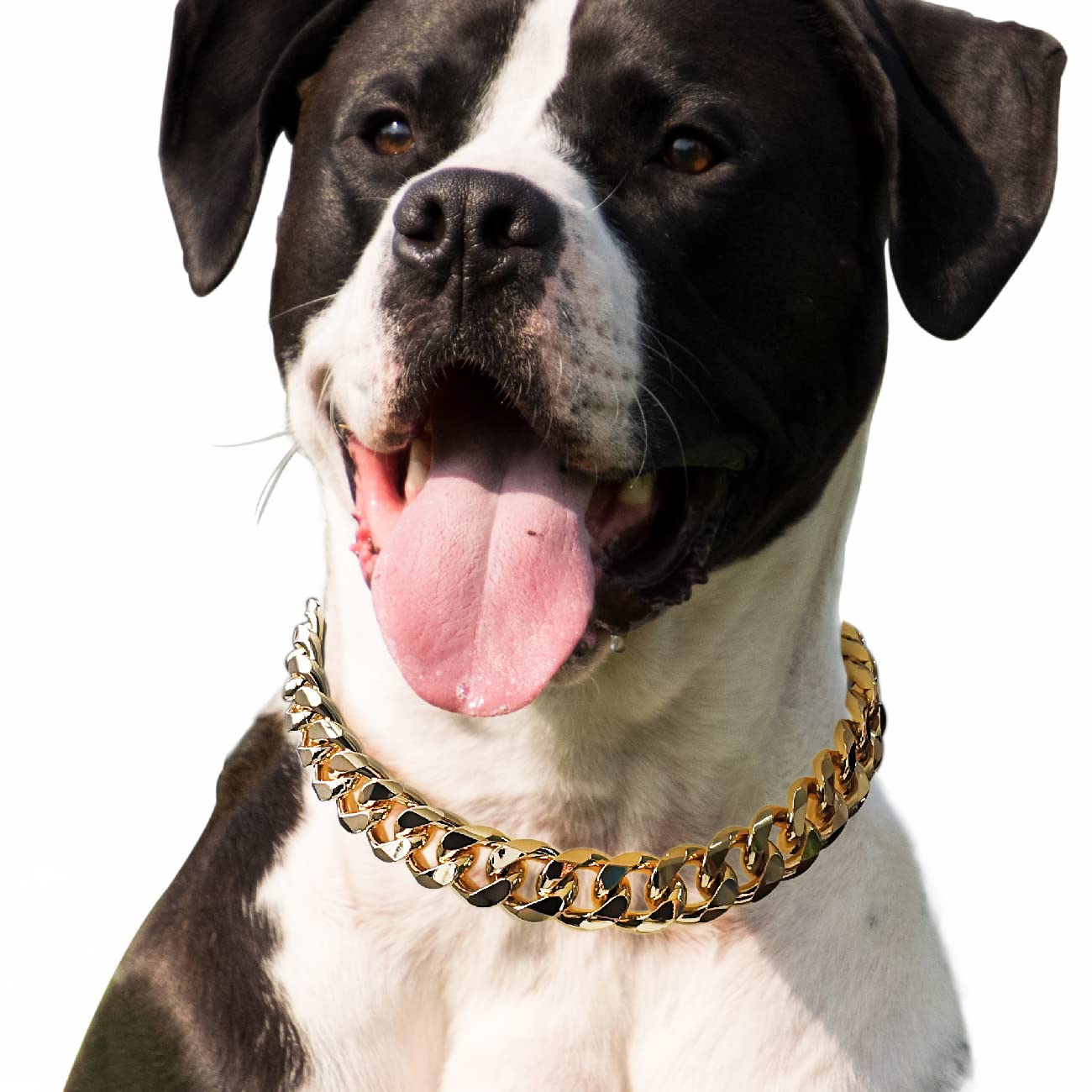 Cuban Link Dog Collar - 3/4 in Wide Metal Chain Dog Collar Venom Black, The Newest Design Stunning Pet Accessory, Cute Luxury Jewelry Costume 20 inches