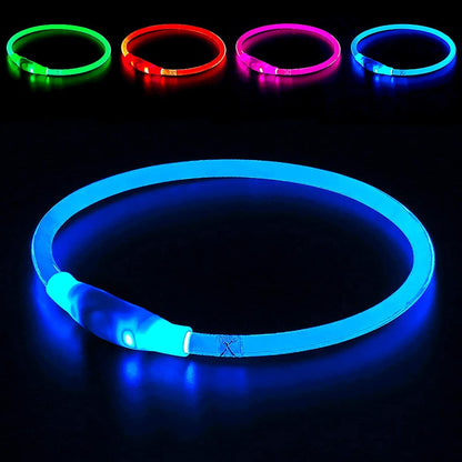 BSeen LED Pet Collar, USB Rechargeable, Glowing for Night Safety, Fashion Light up Collar for Small Medium Large Dogs (Pink)