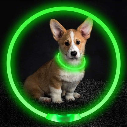 BSeen LED Pet Collar, USB Rechargeable, Glowing for Night Safety, Fashion Light up Collar for Small Medium Large Dogs (Pink)