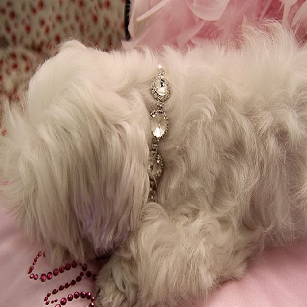 Pet Diamond Necklace Jewelry pet Dress up Collar Shiny Jewelry Suitable for Small and Medium-Sized Cats and Dogs