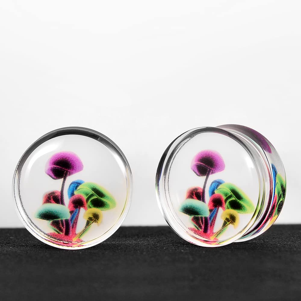 2 PCS Resin Acrylic Transparent Screw Tunnels Ear Expander Stretcher Piercing Ear Gauges