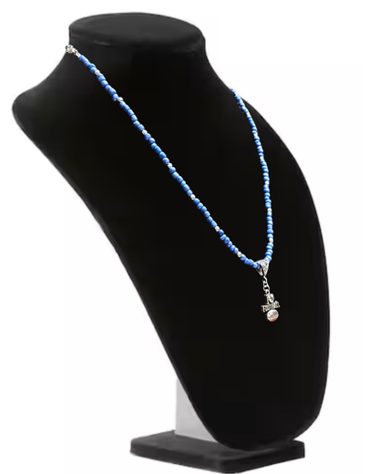 Detroit Lions Football Collectible Necklace