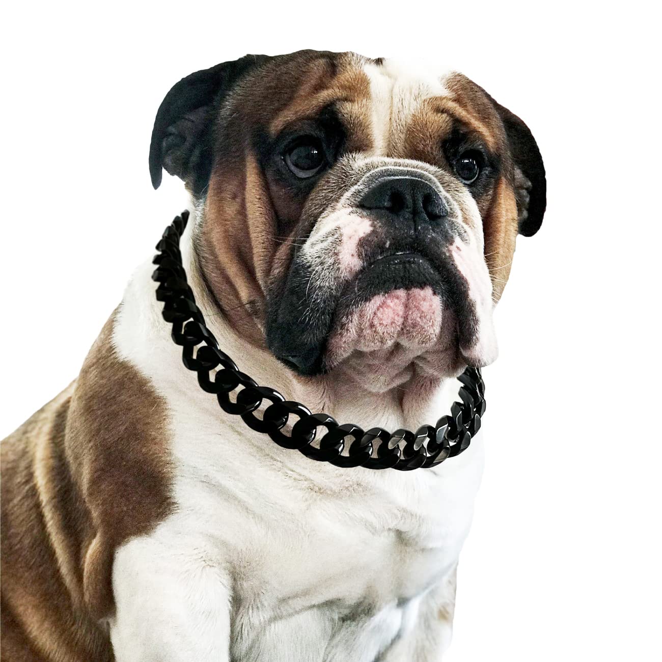 Cuban Link Dog Collar - 3/4 in Wide Metal Chain Dog Collar Venom Black, The Newest Design Stunning Pet Accessory, Cute Luxury Jewelry Costume 20 inches