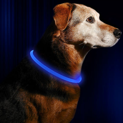 BSeen LED Pet Collar, USB Rechargeable, Glowing for Night Safety, Fashion Light up Collar for Small Medium Large Dogs (Pink)