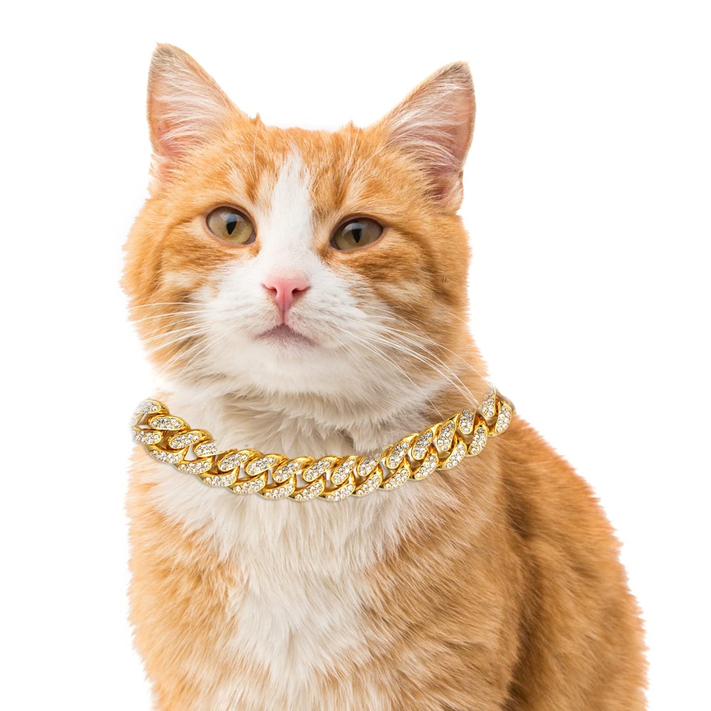 Halukakah Cat Collar - Carat - Iced Out Diamond Cuban Link Gold Chain for Cats & Kittens - Platinum Plated 7" Collar Size - for Decoration Only - Get Your Cat Catwalk Ready