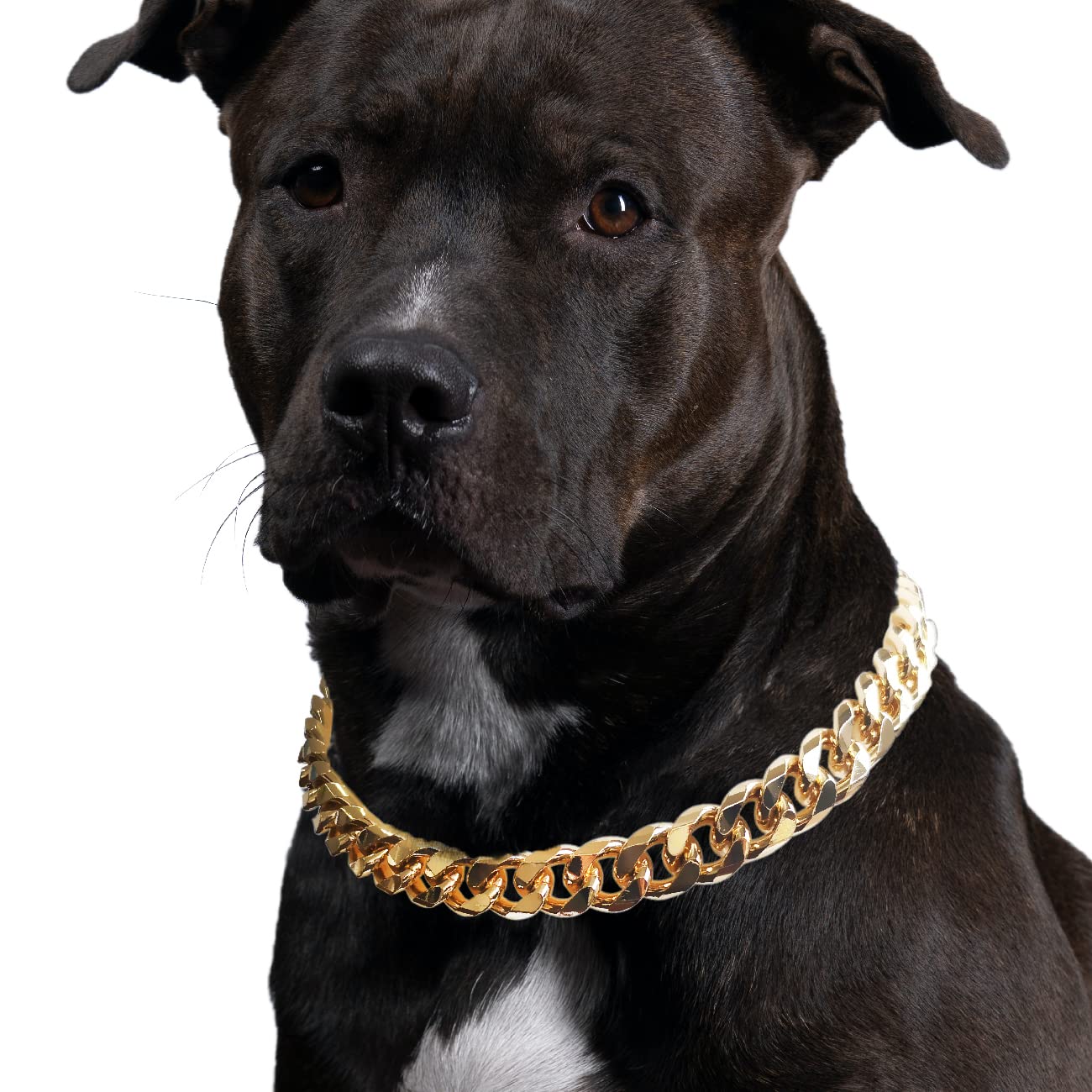 Cuban Link Dog Collar - 3/4 in Wide Metal Chain Dog Collar Venom Black, The Newest Design Stunning Pet Accessory, Cute Luxury Jewelry Costume 20 inches