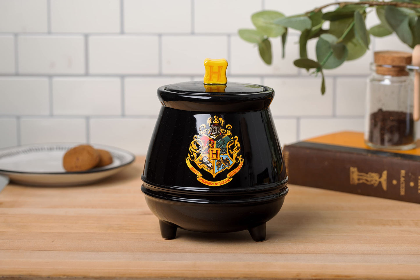 Silver Buffalo Harry Potter Hogwarts House Crest Cauldron Sculpted 3D Hand Painted Ceramic Snack Cookie Jar (Small)